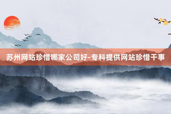 苏州网站珍惜哪家公司好-专科提供网站珍惜干事